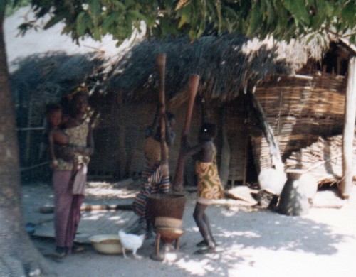 Prise de contact  avec les femmes et les enfants qui s' affairent dans le village à l'ombre des manguiers