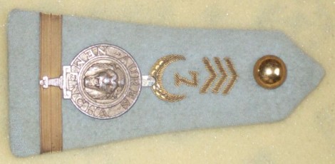 Le 7° Régiment de Tirailleurs Algériens ,régiment des AURES NEMENTCHAS portait sur l' épaulette ou la fourragère ,l'insigne avec la tète de lion et l' épée 