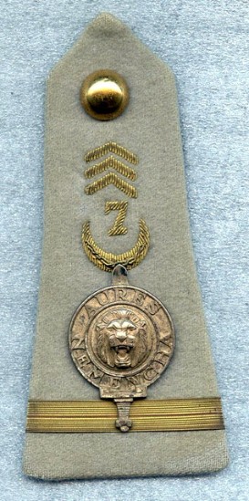  Patte d' épaule d'un Adjudant Chef du 7° R.T.A. avec l' insigne AURES-NEMENTCHA Cet insigne était régulièrement porté par les parachutistes ayant opèré dans ce Secteur